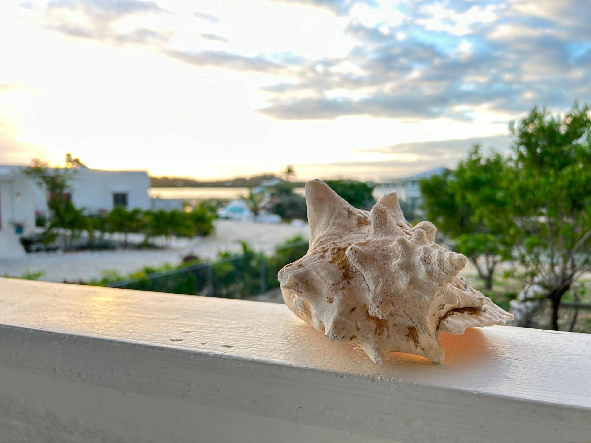 Willa Flamingo House - Turks & Caicos Turtle Cove Zewnętrze zdjęcie