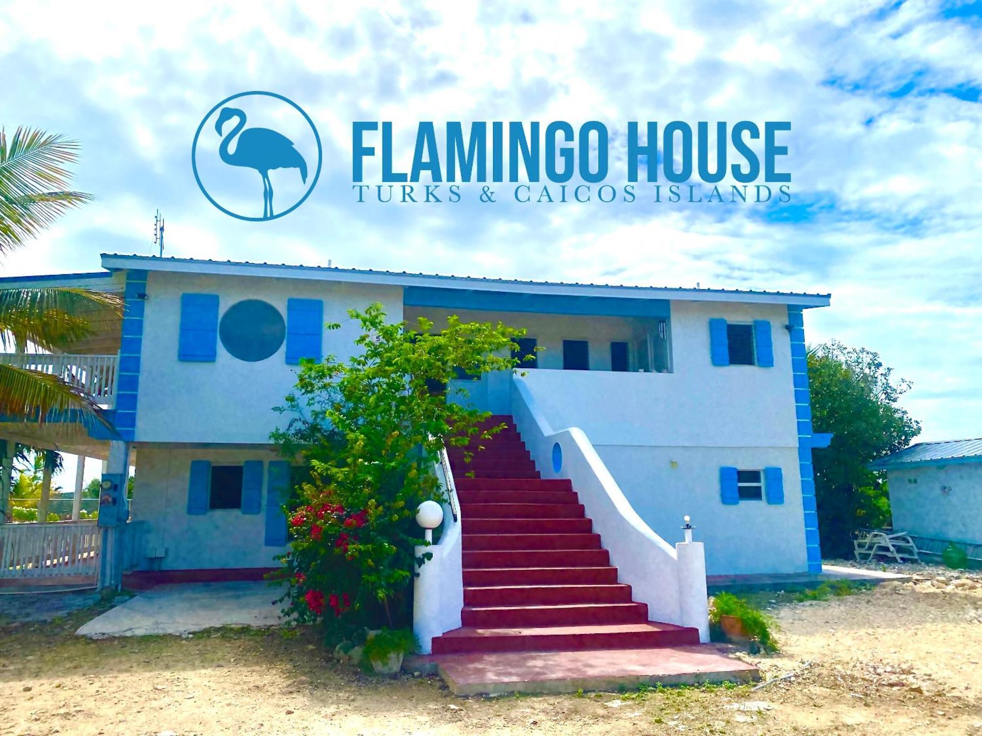 Willa Flamingo House - Turks & Caicos Turtle Cove Zewnętrze zdjęcie